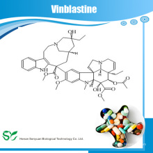 Поставка завода лучшее качество Vinblastine 865-21-4